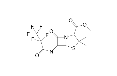 Amoxicilline-M/artifact MEPFP     @