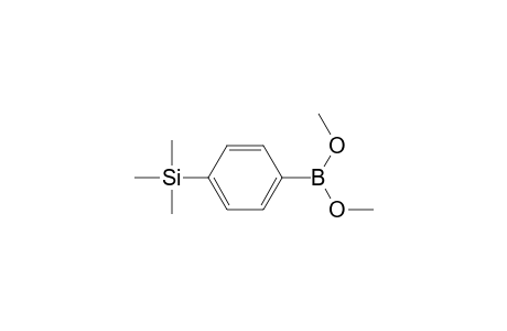 [4-(Dimethoxyboryl)phenyl]trimethylsilane