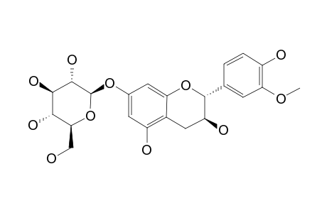 3'-O-METHYLCATECHIN-7-O-BETA-D-GLUCOPYRANOSIDE