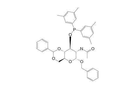 BENZYL-2-ACETAMIDO-4,6-O-BENZYLIDENE-2-DEOXY-3-O-(DI-3,5-XYLYLPHOSPPHINO)-ALPHA-D-GLUCOPYRANOSIDE