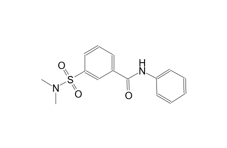 benzamide, 3-[(dimethylamino)sulfonyl]-N-phenyl-