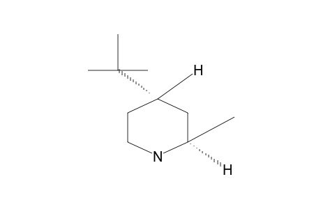 trans-4-tert-BUTYL-2-PIPECOLINE