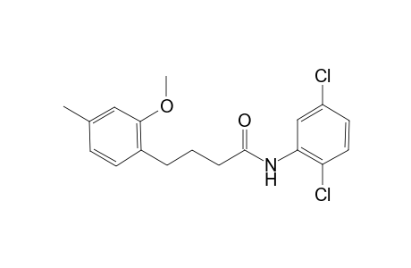 N-(2,5-Dichlorophenyl)-4-(2-methoxy-4-methylphenyl)butanamide