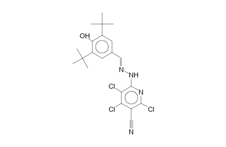 2,4,5-Trichloro-3-cyano-6-(3,5-di-tert-butyl-4-