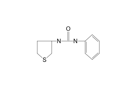 1-phenyl-3-(tetrahydro-3-thienyl)urea