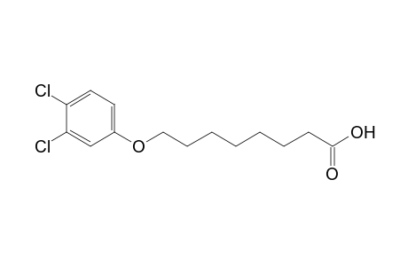 Octanoic acid, 8-(3,4-dichlorophenoxy)-