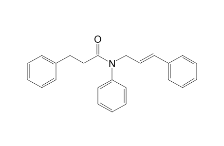 N-Cinnamyl-N,3-diphenylpropanamide