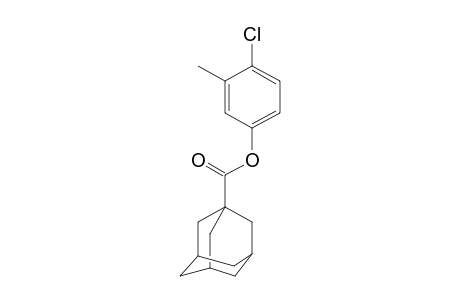 1-Adamantanecarboxylic acid, 3-methyl-4-chlorophenyl ester