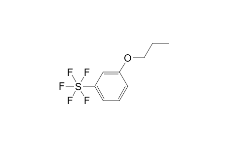 1-(n-Propoxy)-3-(pentafluorosulfanyl)benzene