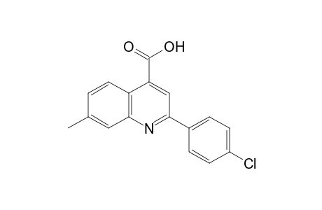 2-(p-chlorophenyl)-7-methylcinchoninic acid