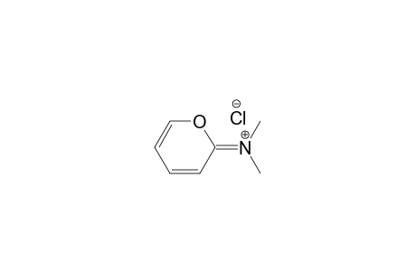 N,N-Dimethyl-2H-pyran-2-iminium chloride
