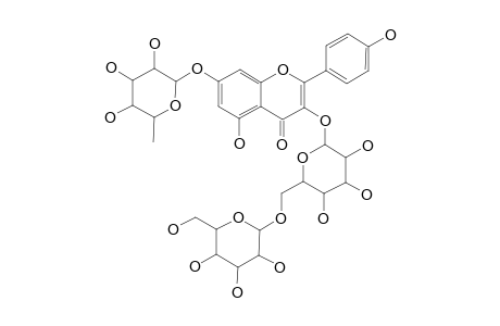KAEMPFEROL-3-O-BETA-[BETA-D-GLUCOPYRANOSYL-(1->6)-D-GLUCOPYRANOSIDE]-7-O-ALPHA-L-RHAMNOPYRANOSIDE