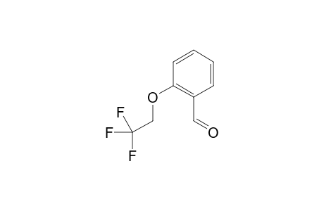 2-(2,2,2-trifluoroethoxy)benzaldehyde