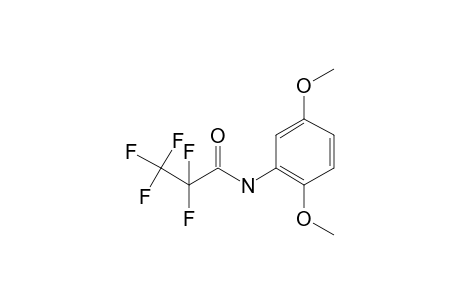 Propanamide, N-(2,5-dimethoxyphenyl)-2,2,3,3,3-pentafluoro-