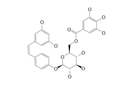 CIS-3,5,4'-TRIHYDROXY-STILBENE-4'-O-BETA-D-(6-O-GALLOYL)-GLUCOPYRANOSIDE
