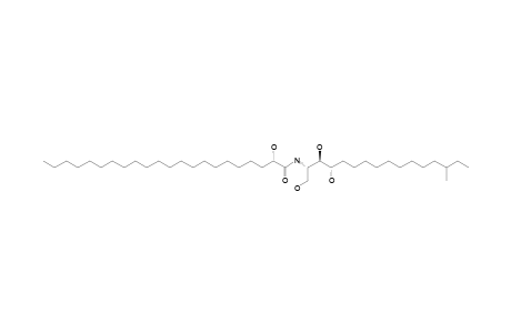 LMCER-2-7;(2S,3S,4R,2'R)-2-(2-HYDROXYDOCOSANOYLAMINO)-14-METHYL-HEXADECANE-1,3,4-TRIOL