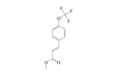(E)-METHYL-3-[4-(TRIFLUOROMETHOXY)-PHENYL]-PROP-2-ENOATE