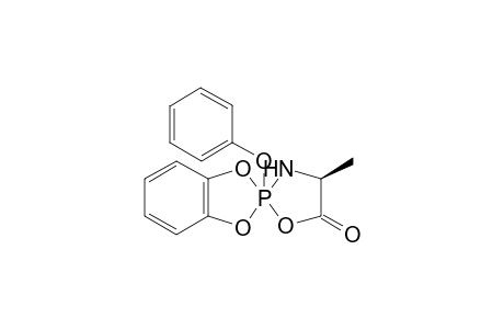 (4'S)-4'-methyl-2-phenoxy-spiro[1,3,2.lambda.5-benzodioxaphosphole-2,2'-1-oxa-3-aza-2.lambda.5-phosphacyclopentane]-5'-one