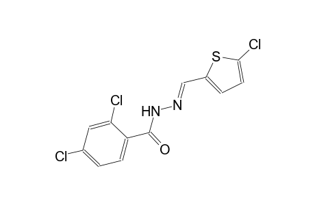 2,4-dichloro-N'-[(E)-(5-chloro-2-thienyl)methylidene]benzohydrazide