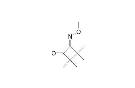 4-METHOXYIMINO-(E)-2,2,3,3-TETRAMETHYLCYCLOBUTANONE