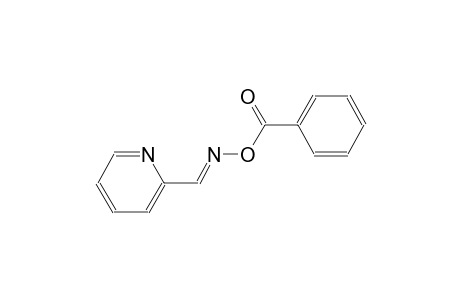2-pyridinecarboxaldehyde, O-benzoyloxime