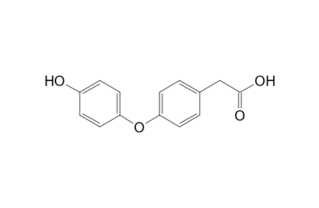 [4-(p-Hydroxyphenoxy)phenyl]-acetic Acid