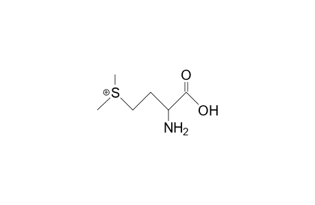 4-Dimethylsulfonio-2-amino-butanoic acid, cation
