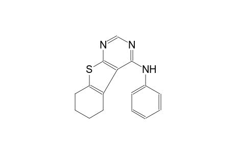 benzo[4,5]thieno[2,3-d]pyrimidin-4-amine, 5,6,7,8-tetrahydro-N-phenyl-