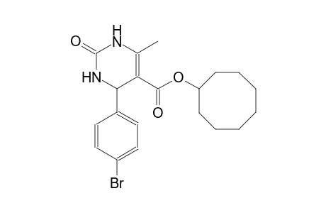 cyclooctyl 4-(4-bromophenyl)-6-methyl-2-oxo-1,2,3,4-tetrahydro-5-pyrimidinecarboxylate