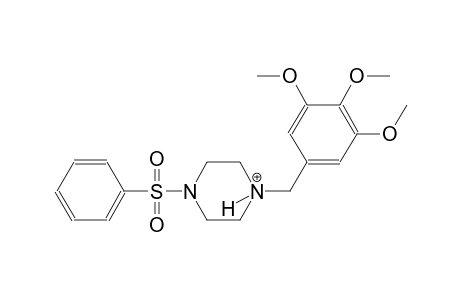 1-(phenylsulfonyl)-4-(3,4,5-trimethoxybenzyl)piperazin-4-ium