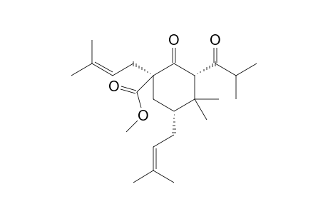 6-methoxylcarbonyl-3,3-dimethyl-4.alpha.,6.alpha.-di(.gamma.,.gamma.-dimethylallyl)-2.alpha.-(2-methyl1-oxo-propyl)cyclohexanone