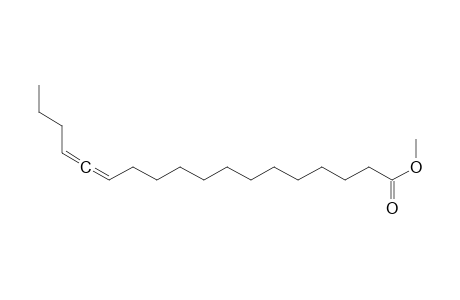 Methyl octadeca-13,14-dienoate