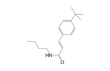 (2E)-N-butyl-3-(4-tert-butylphenyl)-2-propenamide