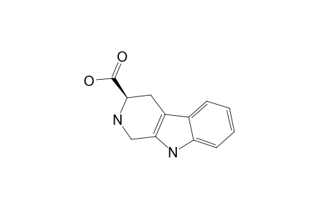 LYCOPERODINE-1