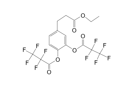 3,4-Dihydroxyphenylpropionic acid, ethyl ester, di-pfp