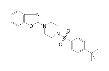 2-[4-(4-tert-butylphenyl)sulfonylpiperazin-1-yl]-1,3-benzoxazole