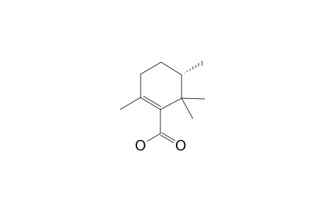 (-)-(5S)-2,5,6,6-TETRAMETHYLCYCLOHEX-1-ENE-1-CARBOXYLIC-ACID