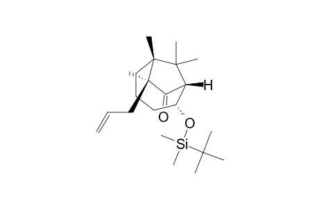 (1R,2R,6R,7S)-2-[tert-butyl(dimethyl)silyl]oxy-6,7,9,9-tetramethyl-7-prop-2-enyl-8-bicyclo[4.2.1]nonanone