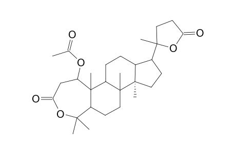 Brachycarpone