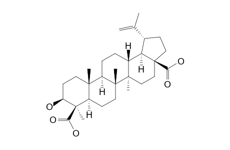 3-BETA-HYDROXY-LUP-20(29)-ENE-23,28-DIOIC-ACID