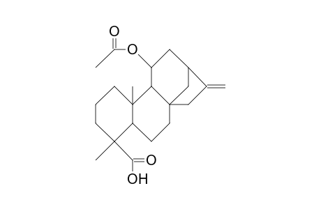 11b-Acetoxy-kaurenic acid