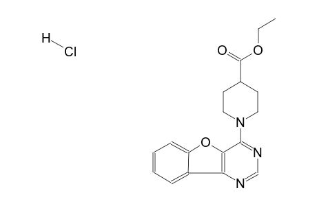 ethyl 1-(benzofuro[3,2-d]pyrimidin-4-yl)piperidine-4-carboxylate hydrochloride