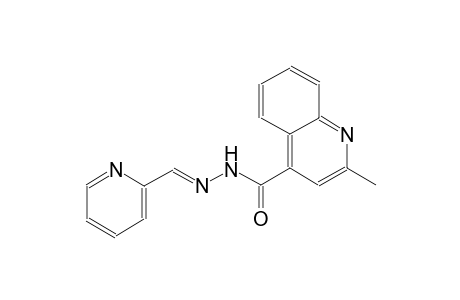 2-methyl-N'-[(E)-2-pyridinylmethylidene]-4-quinolinecarbohydrazide