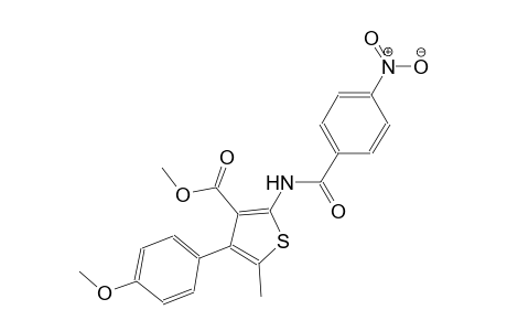 methyl 4-(4-methoxyphenyl)-5-methyl-2-[(4-nitrobenzoyl)amino]-3-thiophenecarboxylate