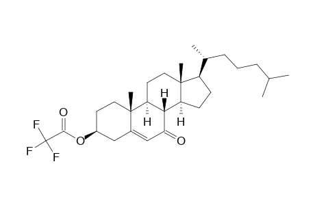 5-Cholesten-3beta-ol-7-one, trifluoroacetate