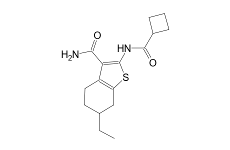 2-[(cyclobutylcarbonyl)amino]-6-ethyl-4,5,6,7-tetrahydro-1-benzothiophene-3-carboxamide