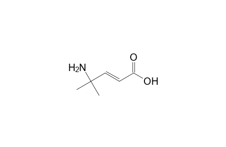 (E)-4-amino-4-methyl-2-pentenoic acid