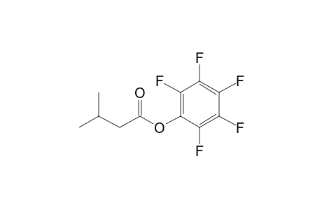 Isovaleric acid, pentafluorophenyl ester