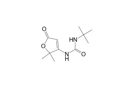 Urea, N-(2,5-dihydro-2,2-dimethyl-5-oxo-3-furanyl)-N'-(1,1-dimethylethyl)-