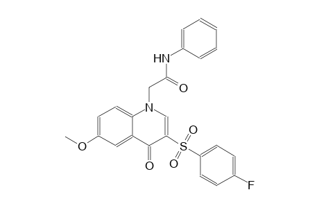 1-quinolineacetamide, 3-[(4-fluorophenyl)sulfonyl]-1,4-dihydro-6-methoxy-4-oxo-N-phenyl-